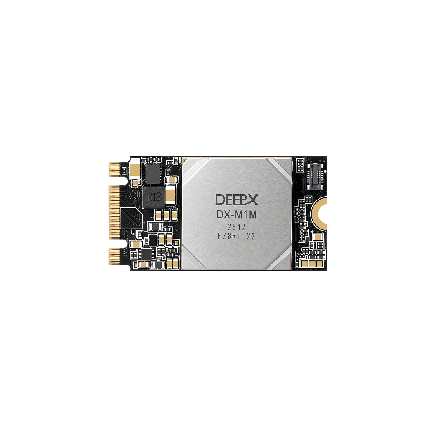DeepX-M1M