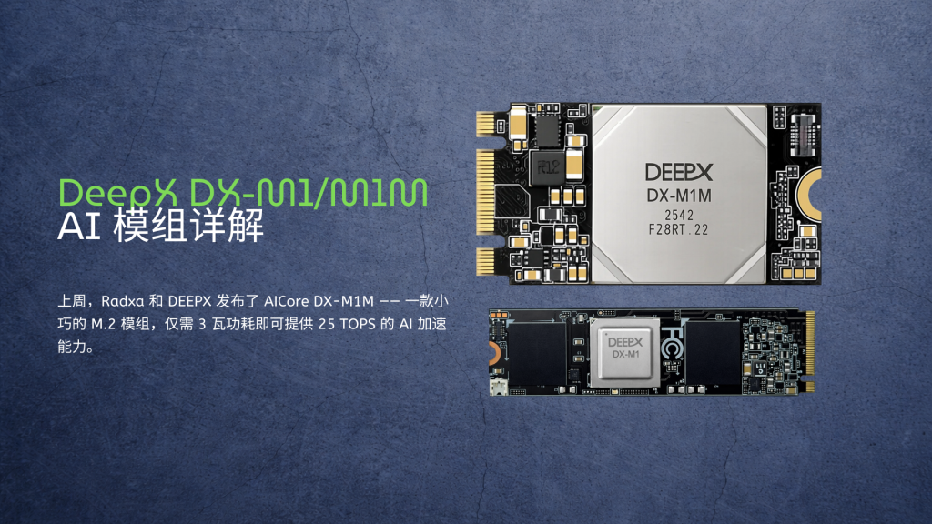 Deepx Dx-M1/M1M